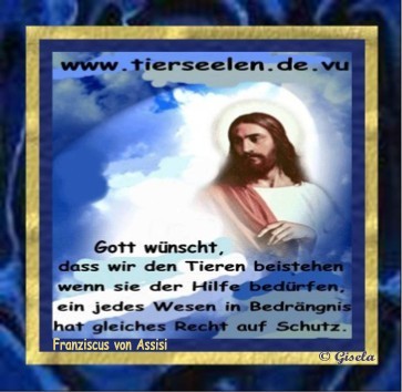 Tierschutz.JPG (98304 Byte)