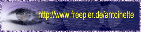 auge-banner-1a.jpg (20563 Byte)