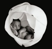 baby+.jpg (9996 Byte)