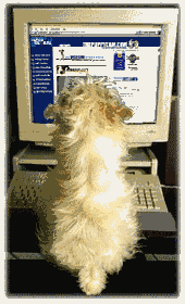 computer.gif (21087 Byte)