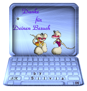 laptop2.gif (163603 Byte)