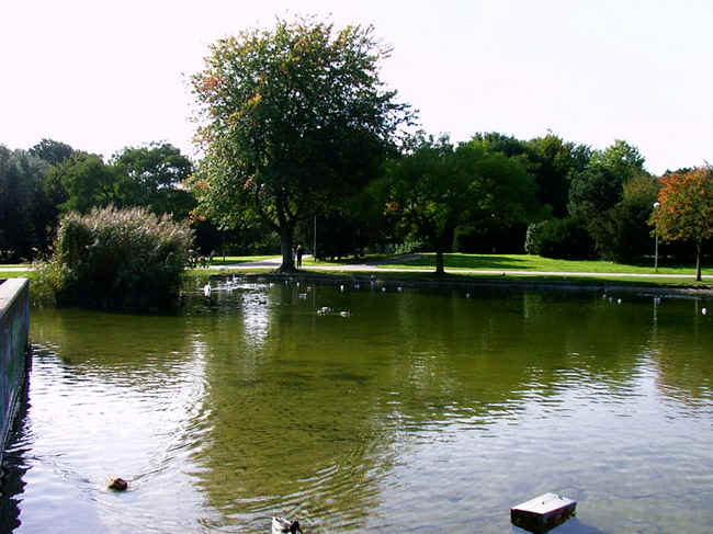 pa_3.JPG (123560 Byte)