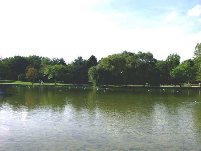 pa_7.jpg (84364 Byte)