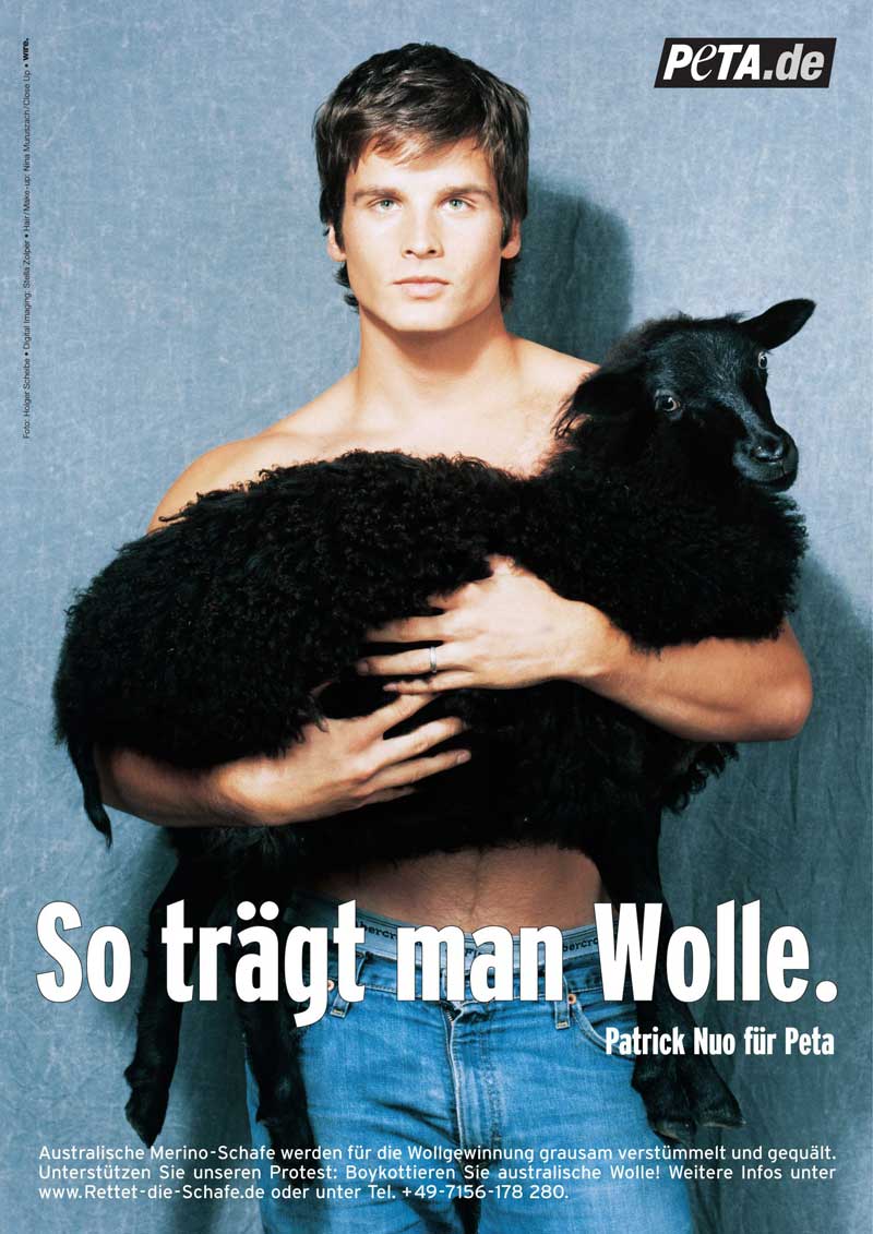peta4.jpg (99351 Byte)
