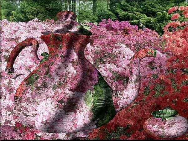 ph_15.JPG (154862 Byte)
