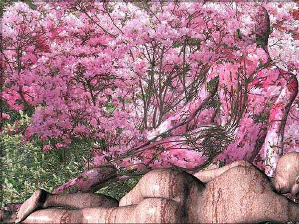 ph_16.JPG (152149 Byte)
