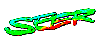 seerlogoneu.gif (4133 Byte)