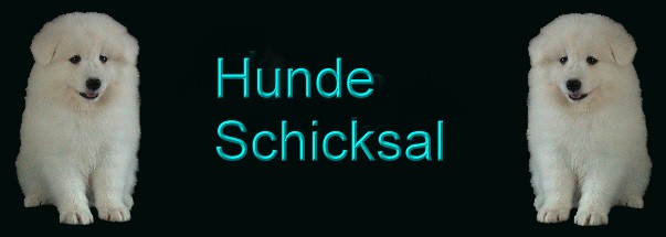 tier hg neu+.jpg (22333 Byte)