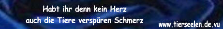tierbanner6.jpg (8489 Byte)