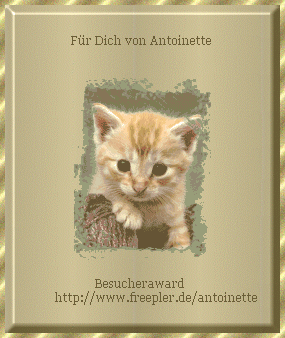 tonia flicken.gif (51263 Byte)