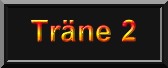 traene2b.jpg (3732 Byte)