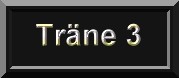 traene3b.jpg (4138 Byte)