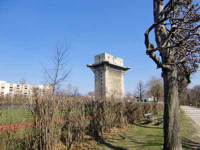 wau12.JPG (76031 Byte)
