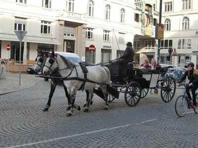 wim018.JPG (78883 Byte)